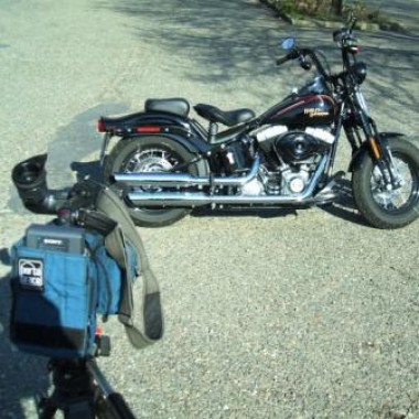 Haláli fej – Harley-Davidson Cross Bones